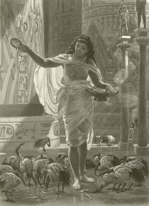 Krmení posvátného ibise v síních Karnacu od Edward John Poynter