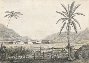 Pohled na Hall-head Sugar Plantation, Jamajka od Edward Kennion
