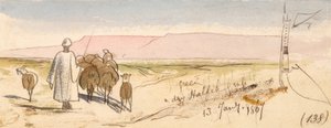 Suchá tráva Halfeh od Edward Lear