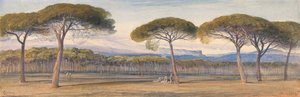 Pohled na borový les nad Cannes od Edward Lear