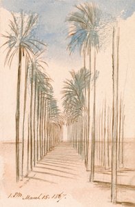 Aleje stromů od Edward Lear
