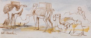 Velbloudi od Edward Lear