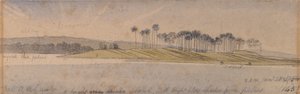Ostrov Dhoura od Edward Lear
