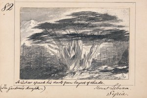 Ilustrace k Tennysonově "Zahradníkově dceři". Cedr rozprostřel své tmavě zelené vrstvy stínu". od Edward Lear