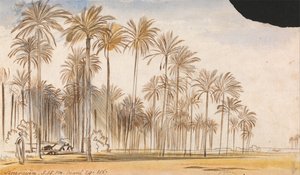Kourayim od Edward Lear
