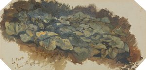 La Cava od Edward Lear