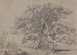 Severní Stoke. 21. října 1834. od Edward Lear