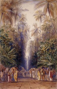 Na cestě do Galle na Cejlonu od Edward Lear