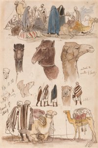 Před suezskými hradbami, 8:30, 17. ledna 1849 (54) od Edward Lear
