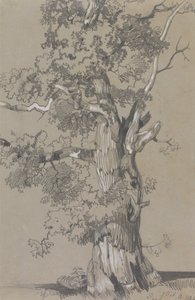 Parham, 13. října 1834 od Edward Lear