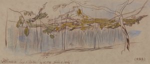 Pettenasco, jezero Orta od Edward Lear