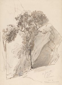 Syrakusy, 12. června 1847 od Edward Lear