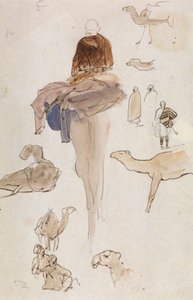 Studie velbloudů od Edward Lear