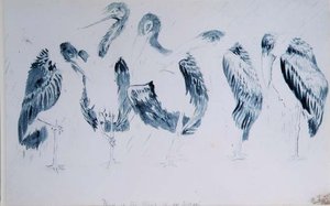 Studie čápů od Edward Lear