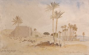 Tapha, 7:50, 17. února 1867 od Edward Lear