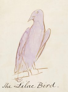 Pták šeřík, z šestnácti kreseb komiksových ptáků (perem a tuší na papíře) od Edward Lear