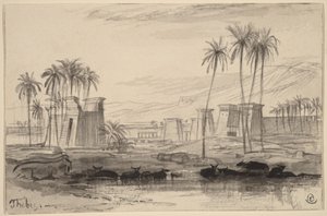 Théby od Edward Lear