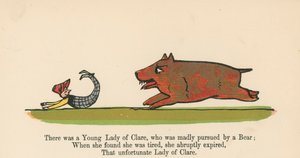 Byla jedna mladá dáma z Clare, kterou šíleně pronásledoval medvěd z knihy „Kniha nesmyslů“, kterou vydal Frederick Warne and Co., Londýn, kolem roku 1875 od Edward Lear