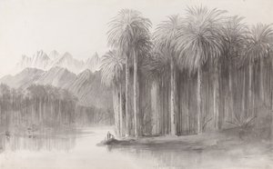 Wádí Fejrán, poloostrov hory Sinaj od Edward Lear