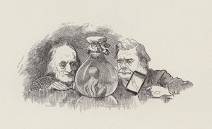 Ilustrace pro The Water-Babies od Charlese Kingsleyho (rytina) od Edward Linley (after) Sambourne