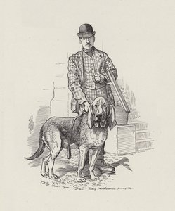 Ilustrace pro The Water-Babies od Charlese Kingsleyho (rytina) od Edward Linley (after) Sambourne