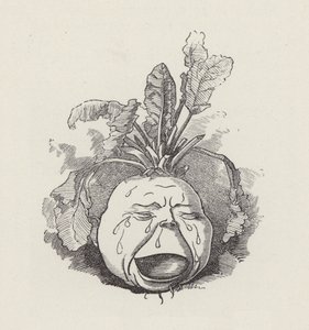 Ilustrace pro The Water-Babies od Charlese Kingsleyho (rytina) od Edward Linley (after) Sambourne