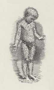 Ilustrace pro The Water-Babies od Charlese Kingsleyho (rytina) od Edward Linley (after) Sambourne