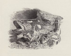 Ilustrace pro The Water-Babies od Charlese Kingsleyho (rytina) od Edward Linley (after) Sambourne