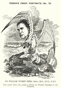 Punch cartoon: Sir William Withey Gull, anglický lékař, který léčil prince z Walesu na tyfus a stal se obyčejným lékařem královny Viktorie (rytina) od Edward Linley (after) Sambourne