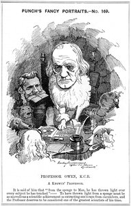 Richard Owen, anglický zoolog, 1884 od Edward Linley Sambourne