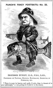 Thomas Henry Huxley , anglický biolog, 1881 od Edward Linley Sambourne