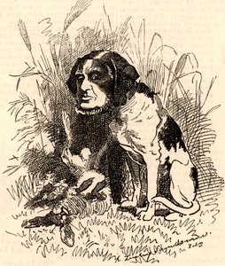 William GGV Vernon Harcourt (1827-1904) od Edward Linley Sambourne