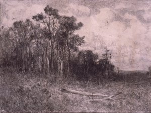Krajina, lesní scéna od Edward Mitchell Bannister