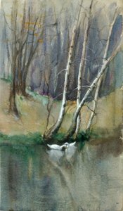 Bez názvu Dřevěná scéna s břízami a kachnami, n. d. od Edward Mitchell Bannister