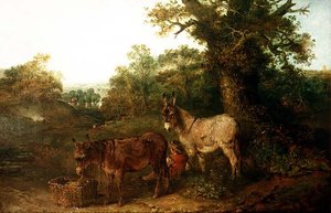 Osli v pasece od Edward Robert Smythe