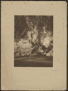 Apache-Black River (U platanu) od Edward S. Curtis