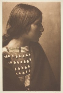 od mravence od Edward S. Curtis