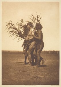 Medicínský obřad Arikara - kachny od Edward S. Curtis
