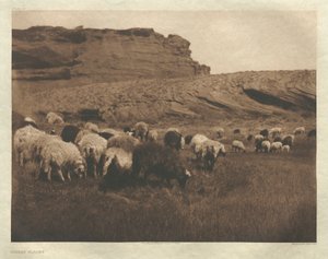 Portfolio I, deska 33: Navaho Flocks od Edward S. Curtis