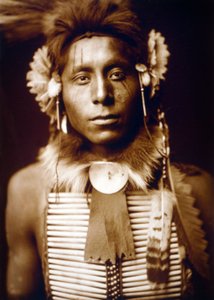 Sedící orel, Vrána, c. 1905, foto Edward S. Curtis od Edward Sheriff Curtis