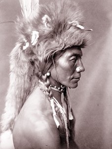 Žlutá ledvina, Piegane od Edward Sheriff Curtis