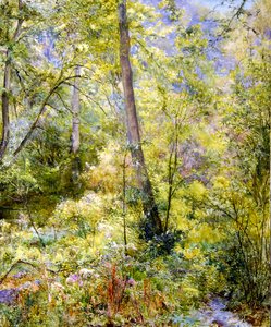 Skvrnité sluneční světlo, Sheepscombe Woods od Edward Steel Harper