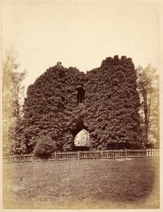 Pohled na bláznovství v Roundhay Park (tisk alba) od Edward Wormald