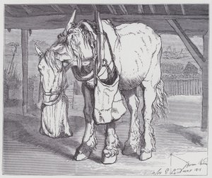 Vozíkový kůň od Edwin (after) Landseer