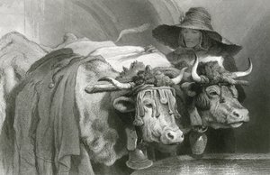 Voli u nádrže, Ženeva (rytina) od Edwin (after) Landseer