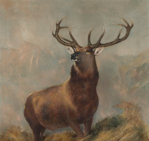 The Monarch of the Glen, c.1822-73 (olej na plátně)