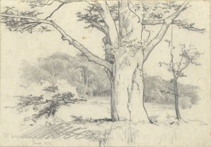 Nr. Lyndhurst, srpen 1871 od Edwin Austin Abbey