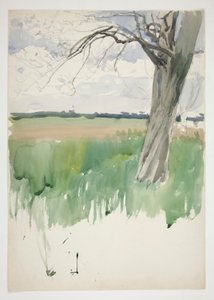 Studie pole a stromu od Edwin Austin Abbey