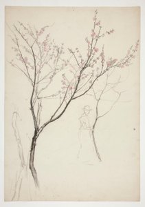 Studie postavy pod kvetoucím stromem od Edwin Austin Abbey