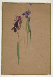Studium duhovek od Edwin Austin Abbey